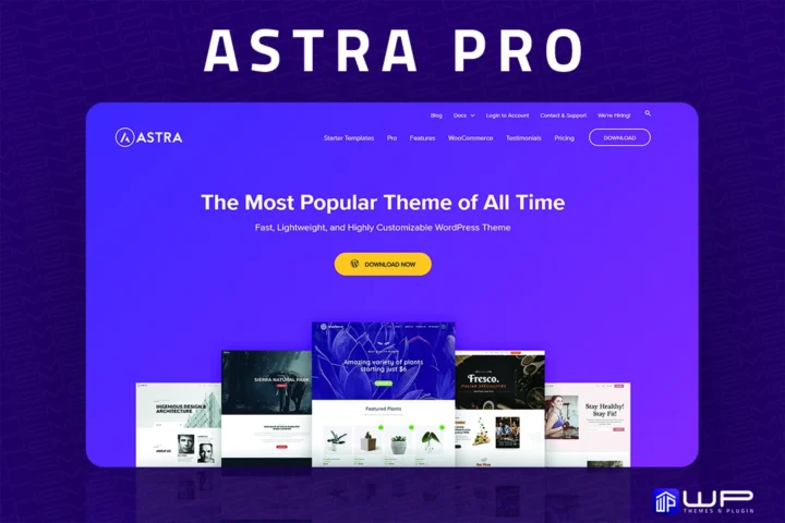 Astra Pro Theme Lifetime Deal – 95% OFF WordPress Theme